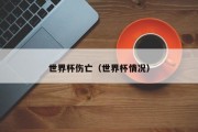 世界杯伤亡（世界杯情况）