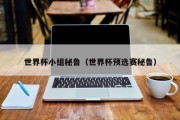 世界杯小组秘鲁（世界杯预选赛秘鲁）