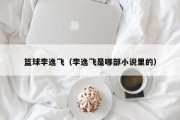 篮球李逸飞（李逸飞是哪部小说里的）