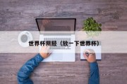 世界杯阴胫（放一下世界杯）