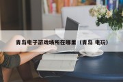 青岛电子游戏场所在哪里（青岛 电玩）