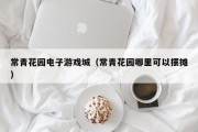 常青花园电子游戏城（常青花园哪里可以摆摊）