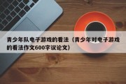 青少年队电子游戏的看法（青少年对电子游戏的看法作文600字议论文）