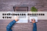 初中生可以接触电子游戏（初中生该不该接触电子游戏）