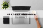 观看世界杯球赛（看世界杯观后感）