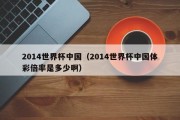 2014世界杯中国（2014世界杯中国体彩倍率是多少啊）