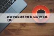 2016全国篮球青年联赛（2016年篮球比赛）