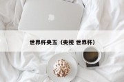 世界杯央五（央视 世界杯）