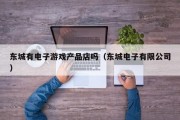 东城有电子游戏产品店吗（东城电子有限公司）